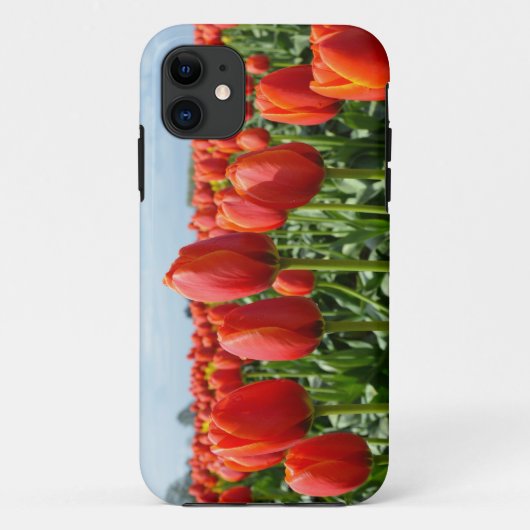 Coques Case-Mate iPhone Cartes d'impression 5 tulipes rouges (Dos)