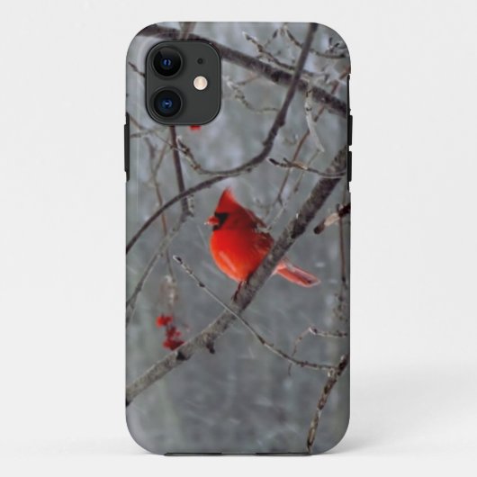 Coques Case-Mate iPhone Cas cardinal masculin de l'iPhone 5 (Dos)