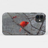 Coques Case-Mate iPhone Cas cardinal masculin de l'iPhone 5 (Dos (Horizontal))