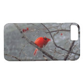 Coques Case-Mate iPhone Cas cardinal masculin de l'iPhone 7 (Dos (Horizontal))