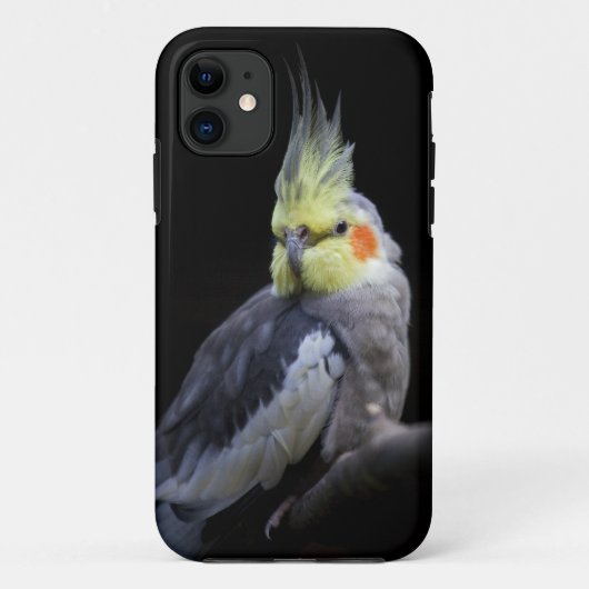Coques Case-Mate iPhone Cas de Coque-Compagnon de l'iPhone 5 de Cockatiel (Dos)