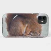 Coques Case-Mate iPhone Cas de Coque-Compagnon de l'iPhone 5 d'écureuil de (Dos (Horizontal))