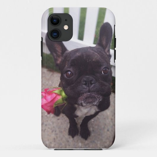 Coques Case-Mate iPhone Cas de l'iPhone 5/5S de bouledogue français (Dos)