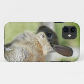 Coques Case-Mate iPhone cas de l'iPhone 5 avec le lapin dans le profil (Dos (Horizontal))