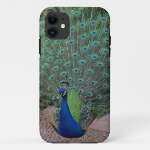 Etui iPhone Case-Mate Cas de l'iPhone 5 de paon