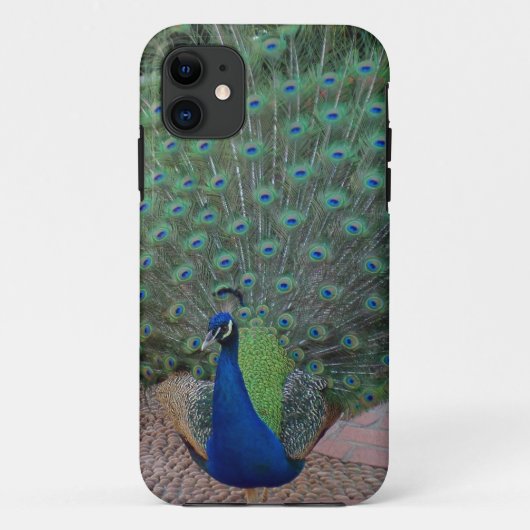 Coques Case-Mate iPhone Cas de l'iPhone 5 de paon (Dos)