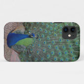 Coques Case-Mate iPhone Cas de l'iPhone 5 de paon (Dos (Horizontal))