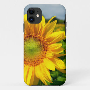 Coques Pour iPhone Cas de l'iPhone 5 de tournesol