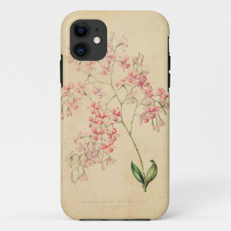 Coques Pour iPhone cas de l'iPhone 5 - illustration vintage