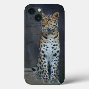 Etui iPhone 13 Cas de l'iPhone 6 de léopard d'Amur