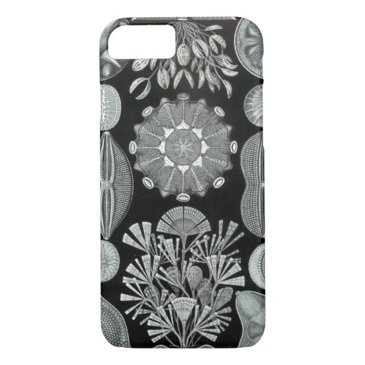 Coques Case-Mate iPhone Cas de l'iPhone 7 de Haeckel - Diatomea (Dos)
