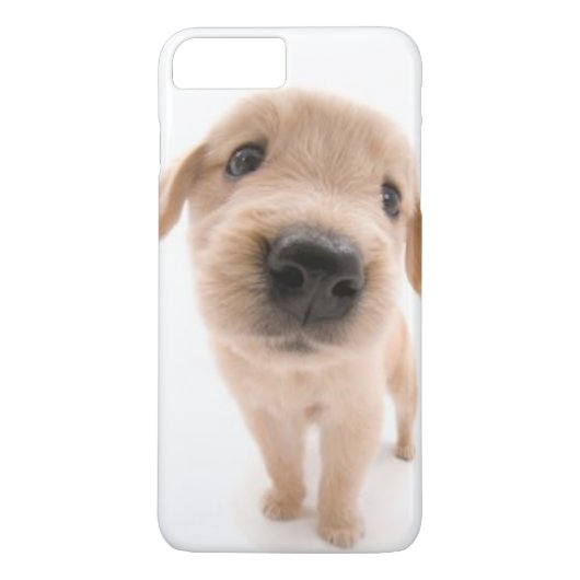 Coques Case-Mate iPhone Cas de téléphone de golden retriever (Dos)