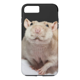 Coque iPhone 7 Plus Cas de téléphone de rat