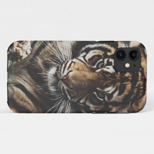 Coques Case-Mate iPhone Cas de tigre (Dos (Horizontal))
