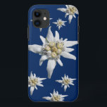Coque iPhone 11 Cas d'edelweiss sur l'arrière - plan bleu-foncé<br><div class="desc">Fleur d'edelweiss de l'Alpes sur un arrière - plan bleu-foncé</div>