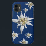 Coque iPhone 11 Cas d'edelweiss sur l'arrière - plan bleu-foncé<br><div class="desc">Fleur d'edelweiss de l'Alpes sur un arrière - plan bleu-foncé</div>