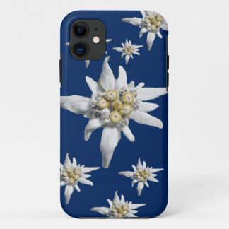 Coque iPhone 11 Cas d'edelweiss sur l'arrière - plan bleu-foncé