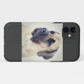 Coques Case-Mate iPhone Cas du mastiff iPhone5 (Dos (Horizontal))