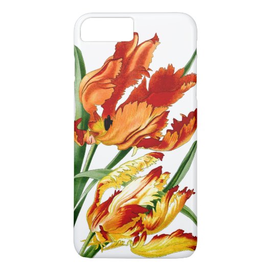 Coques Case-Mate iPhone Cas floral de l'iPhone 7 de fleur de tulipe (Dos)