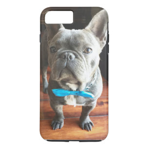 Coques Pour iPhone cas plus de l'iPhone 7 de bouledogue français