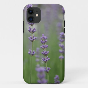 Coques Pour iPhone Cas savoureux de l'iPhone 5 de lavande à peine là