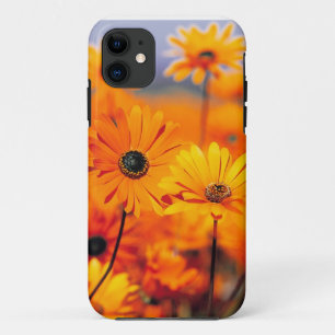 Etui iPhone Case-Mate Cas universel d'Iphone 5 floraux