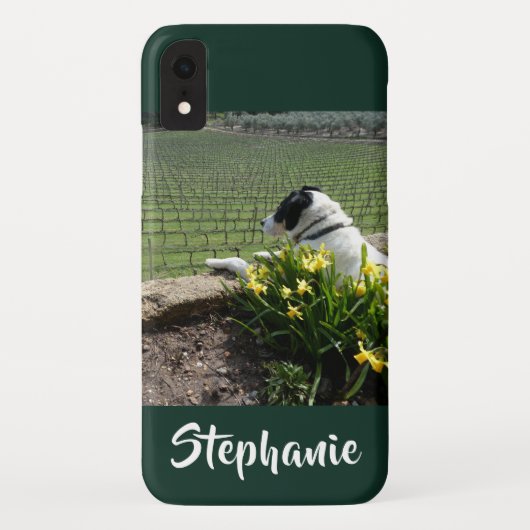 Coques Case-Mate iPhone Casemate Chien et vignes iPhone XR XS Max (Dos)