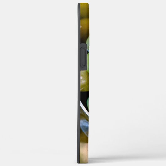 Coques Case-Mate iPhone Castelvetrano Olives vertes douces (Verso / Droite)