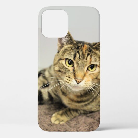 Coques Case-Mate iPhone Cat (Verso)