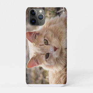 Case-Mate iPhone Case Cat