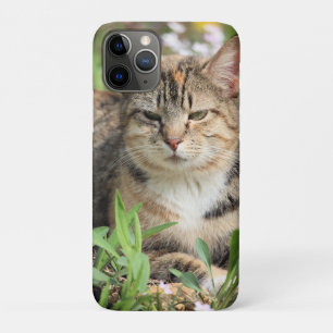 Case-Mate iPhone Case Cat
