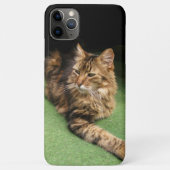Coques Case-Mate iPhone Cat (Dos)