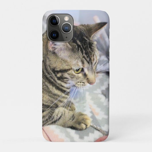 Coques Case-Mate iPhone Cat (Dos)