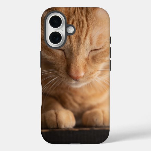 Coques Case-Mate iPhone Cat Apple Iphone 16 Case (Verso)