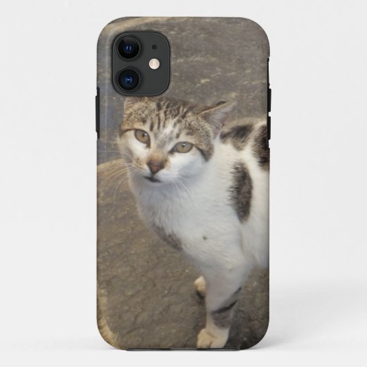 Coques Case-Mate iPhone Cat iPhone 5 coque-mate (Dos)