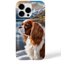 Cavalier King Charles