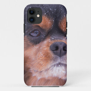 Etui iPhone Case-Mate Cavalier King Charles Spaniel Flocon de neige