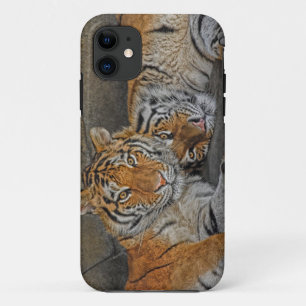 Coque Case-Mate Pour iPhone Caverne de tigre