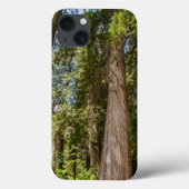 Coques Case-Mate iPhone Cèdre rouge occidental (Verso)