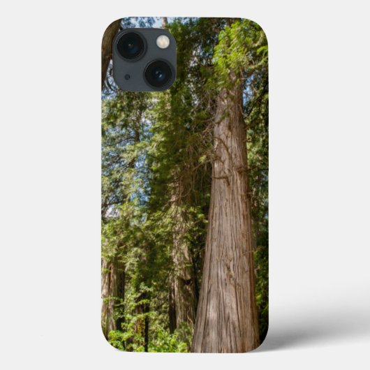 Coques Case-Mate iPhone Cèdre rouge occidental (Verso)