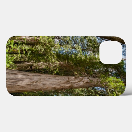 Coques Case-Mate iPhone Cèdre rouge occidental (Verso (horizontal))