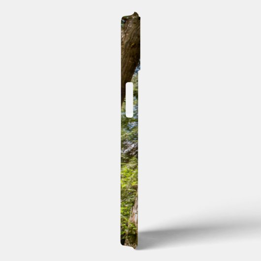 Coques Case-Mate iPhone Cèdre rouge occidental (Verso / Droite)