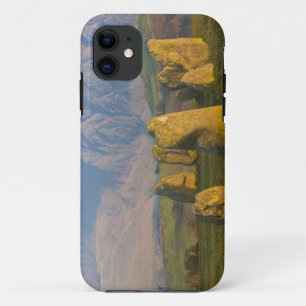 Case-Mate iPhone Case Cercle de pierres de Castlerigg, Lake District, Cu