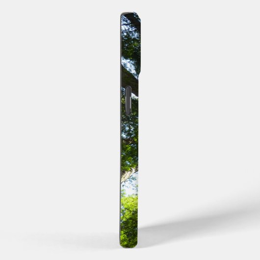 Coques Case-Mate iPhone Cercle de séquoias au parc national Redwood (Verso / Droite)