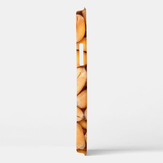 Coques Case-Mate iPhone céréales de blé (Verso / Droite)