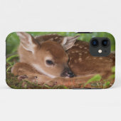 Coques Case-Mate iPhone Cerf à queue blanche âgé de deux jours, Kentucky. (Dos (Horizontal))