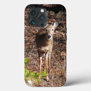 Case-Mate iPhone Case Cerf adorable dans les bois Photographie de la nat