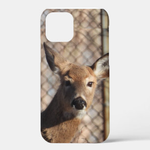 Case-Mate iPhone Case Cerf curieux dans les bois