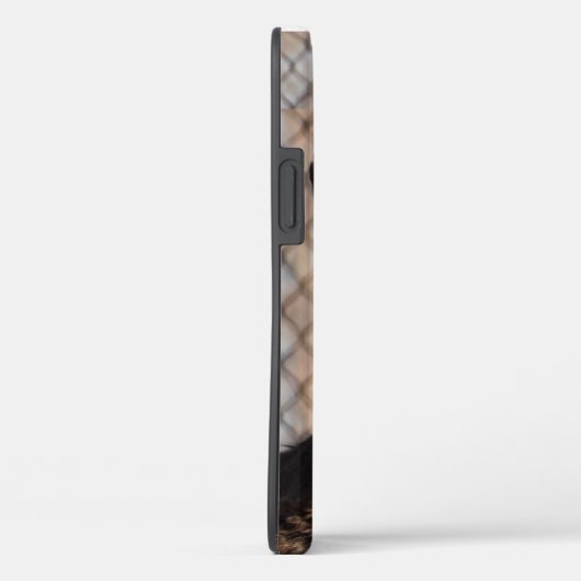 Coques Case-Mate iPhone Cerf curieux dans les bois (Verso / Droite)