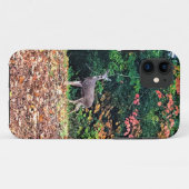 Coques Case-Mate iPhone Cerf dans la forêt, Oregon (Dos (Horizontal))